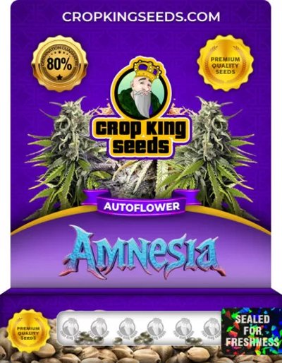 Amnesia Autoflower