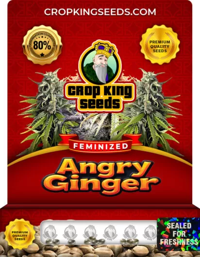 angry-ginger-image