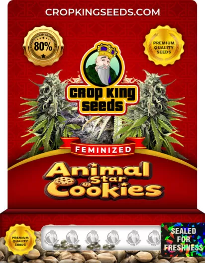 animal-star-cookies-image