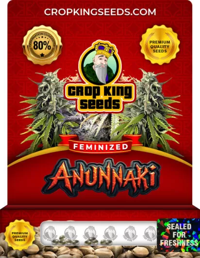 anunnaki-image