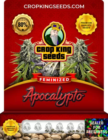 apocalypto-image