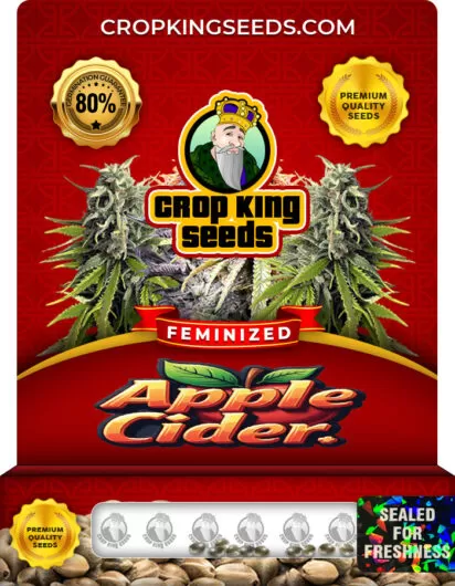 apple-cider-image