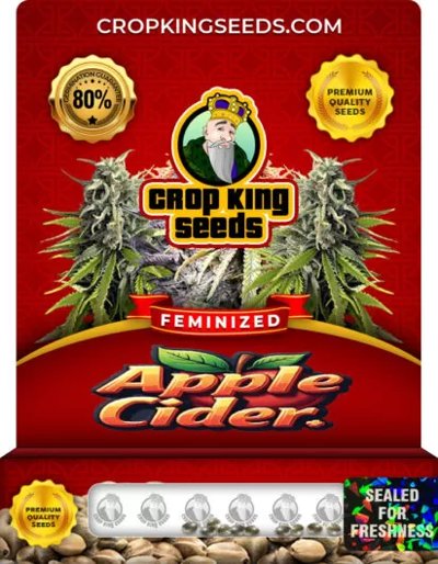 Apple Cider