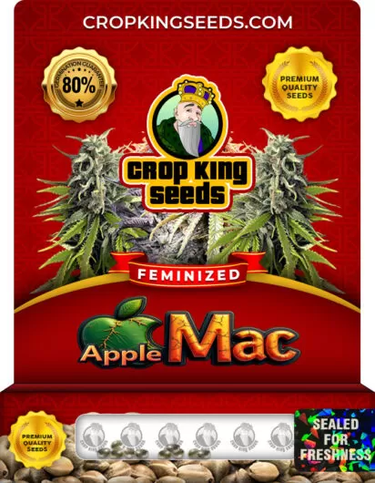 apple-mac-image