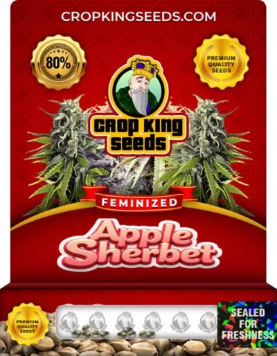 Apple Sherbet