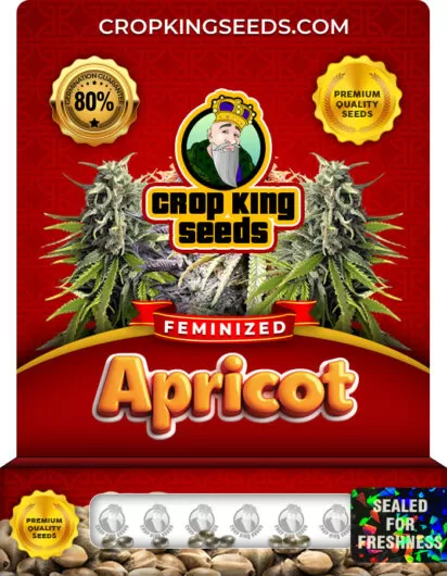 apricot-image