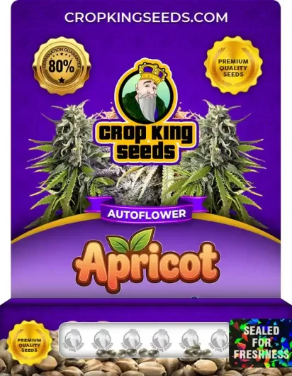 apricot-autoflower-image