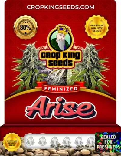 Arise
