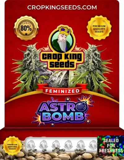 Astro Bomb