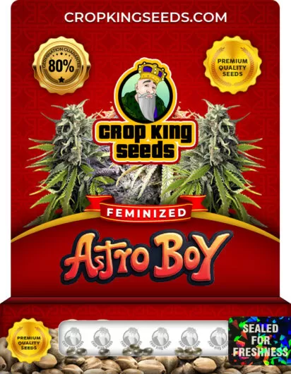 astro-boy-image