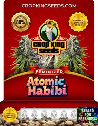 Atomic Habibi