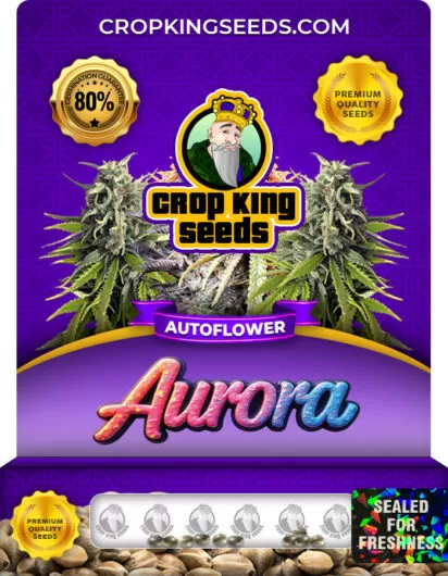 aurora-autoflowering-image