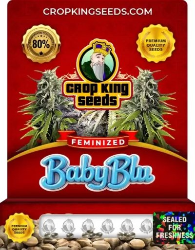 Baby Blu