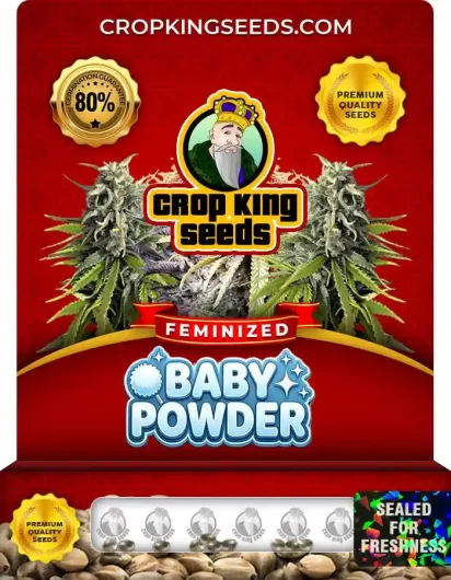 baby-powder-image