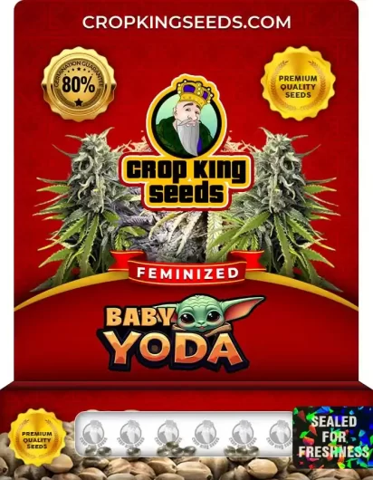baby-yoda-image