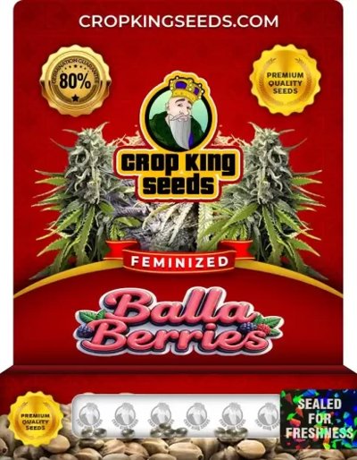 Balla Berries