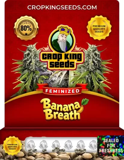 banana-breath-image