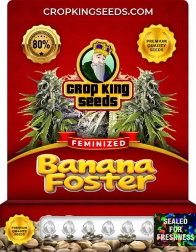 Banana Foster