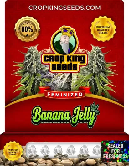 banana-jelly-image