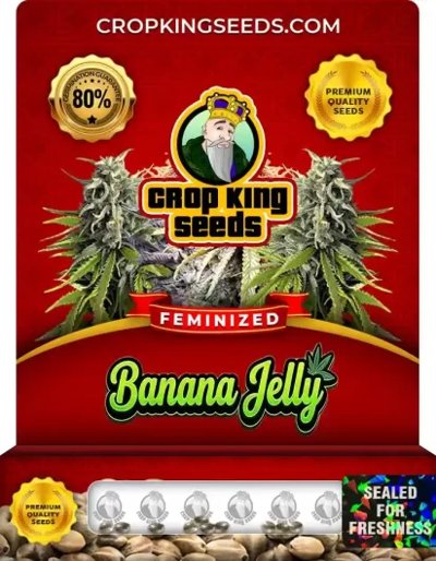 Banana Jelly