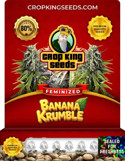 banana-krumble-image