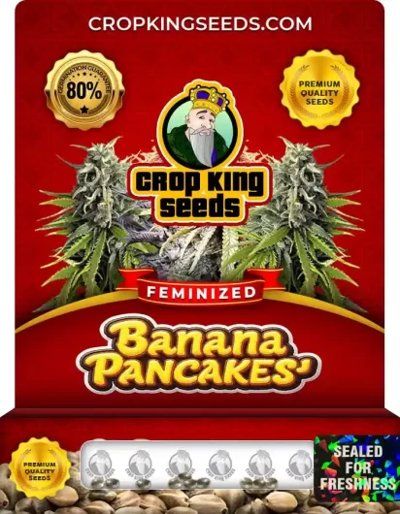 Banana Pancakes