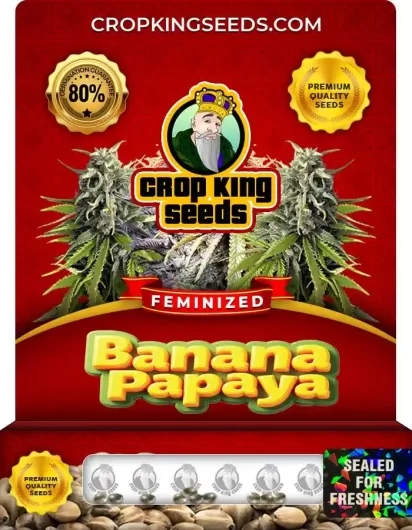 banana-papaya-image