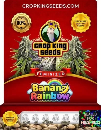 banana-rainbow-image