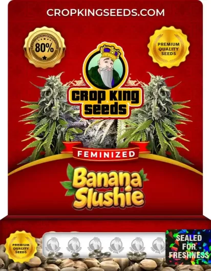 banana-slushie-image