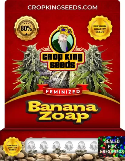 banana-zoap-image