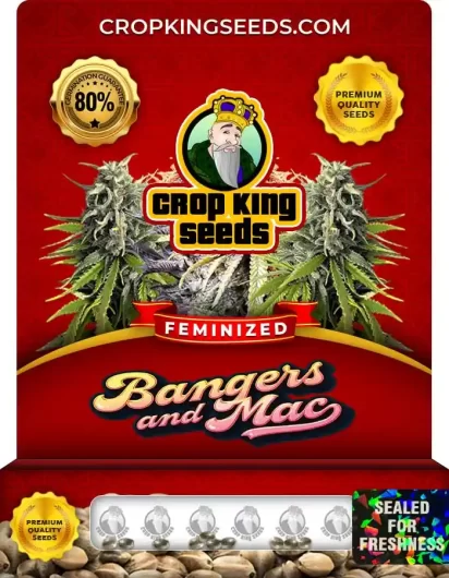 bangers-and-mac-image